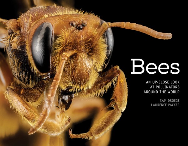 Bees - An Up-Close Look at Pollinators Around the World,