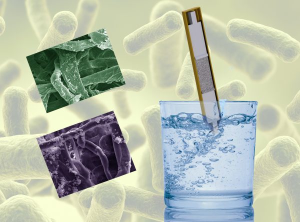Paper strips laced with sugar could be the sweetest solution so far, literally, to kill E. coli in contaminated water.