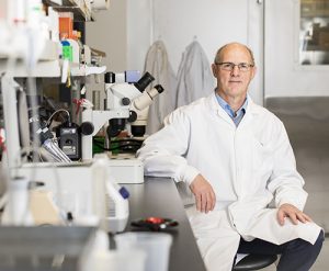 York University scientists have uncovered a unique set of genes that play a role in muscle cellular gene expression and differentiation which could lead to new therapeutic targets to prevent the spread of muscle cancer.