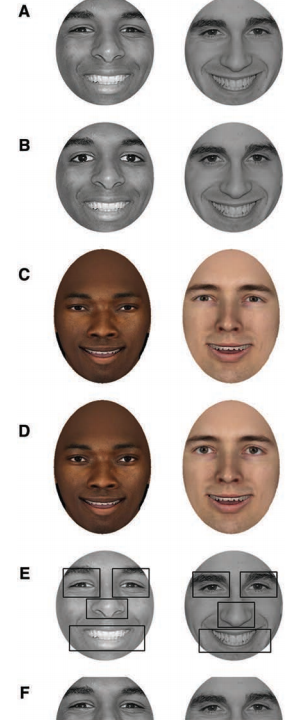 faces of different races