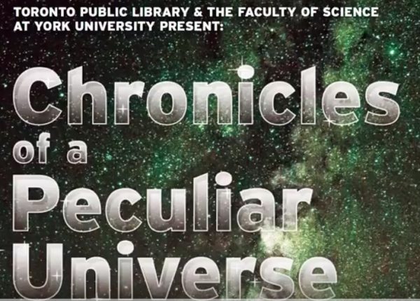 Chronicles of a Peculiar Universe