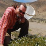 Laurence Packer out in the field catching bees