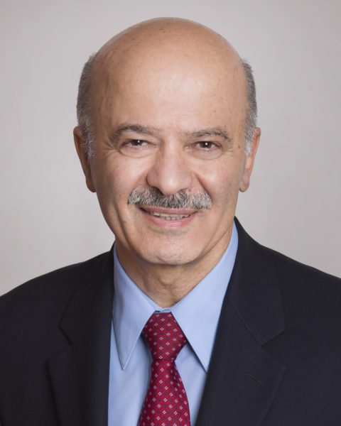 Headshot of Reza Moridi