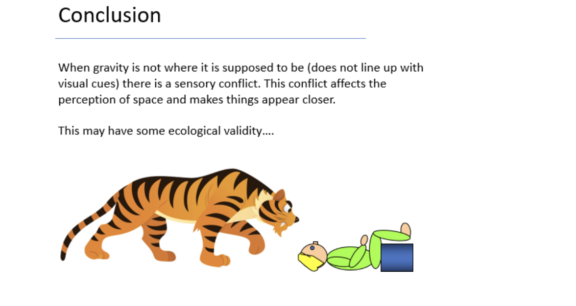 Image shows a tiger looking down at a prone figure. It has the words: Conclusion
When gravity is not where it is supposed to be (does not line up with visual cues, there is a sensory conflict. This conflict affects the perception of space and makes things appear closer. This may have some ecological validity...
