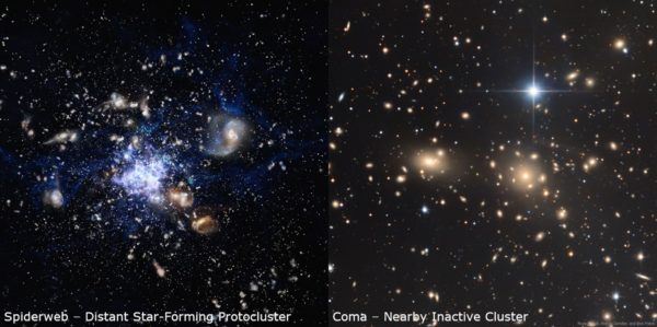 Spiderweb - distant star-forming protocluster and Coma - nearby inactive cluster