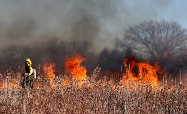 firefighter walking past a brush fire